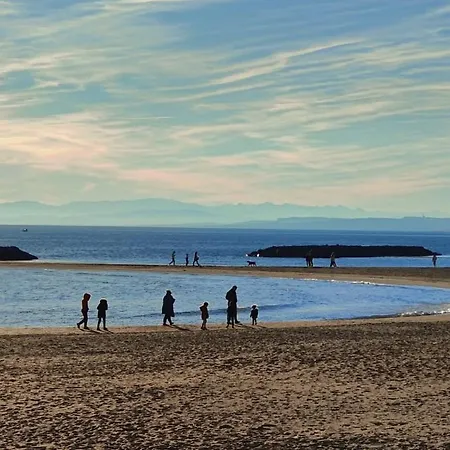 Villa Riboleys - T3 Climatisée Avec Piscine *