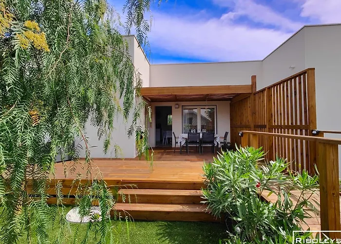 Villa Riboleys - T3 Climatisee Avec Piscine Vias