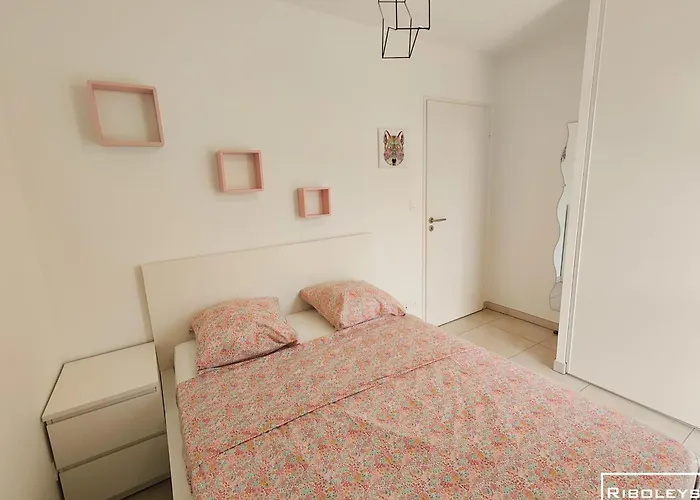 Riboleys - T3 Climatisee Avec Piscine Villa *