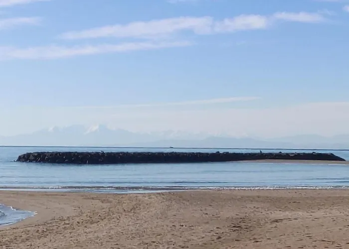 Riboleys - T3 Climatisee Avec Piscine Villa *