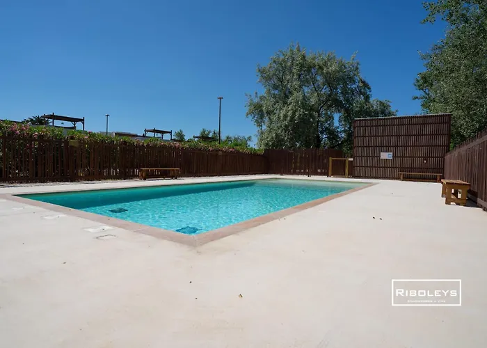 Riboleys - T3 Climatisee Avec Piscine *