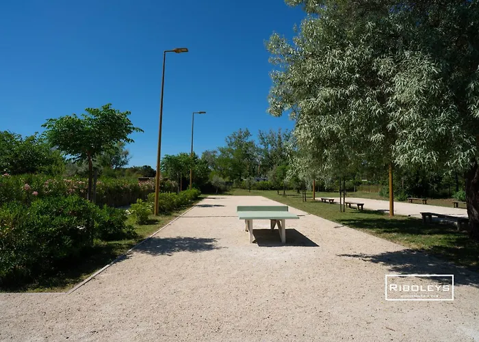 Riboleys - T3 Climatisee Avec Piscine Vias